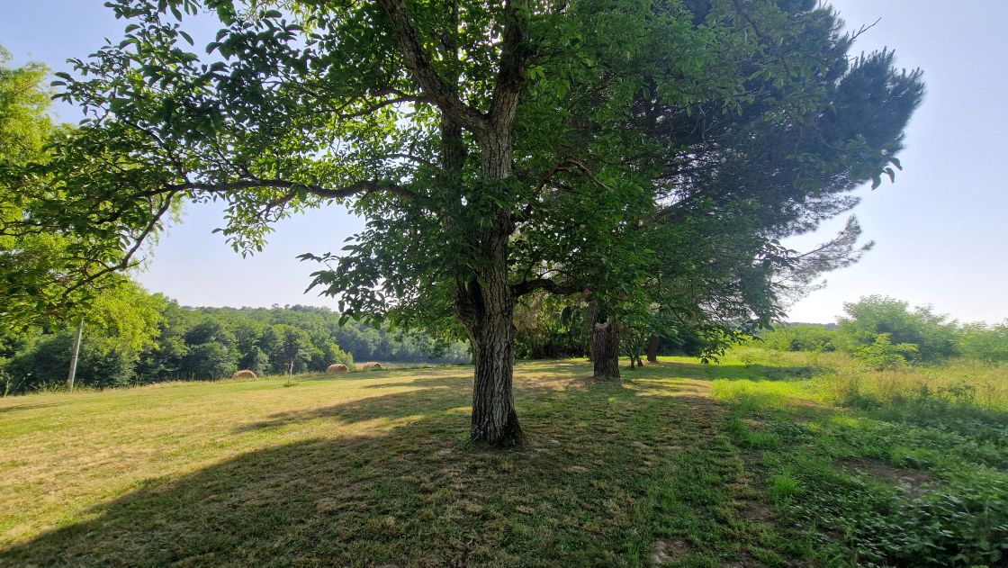 Grand Gite Groupe Gers 32 Les Gîtes du Bonheur