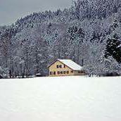 Grand Gite Groupe Vosges 88 GITE A 15MN DE GERARDMER AU PIED DE L'ALSACE