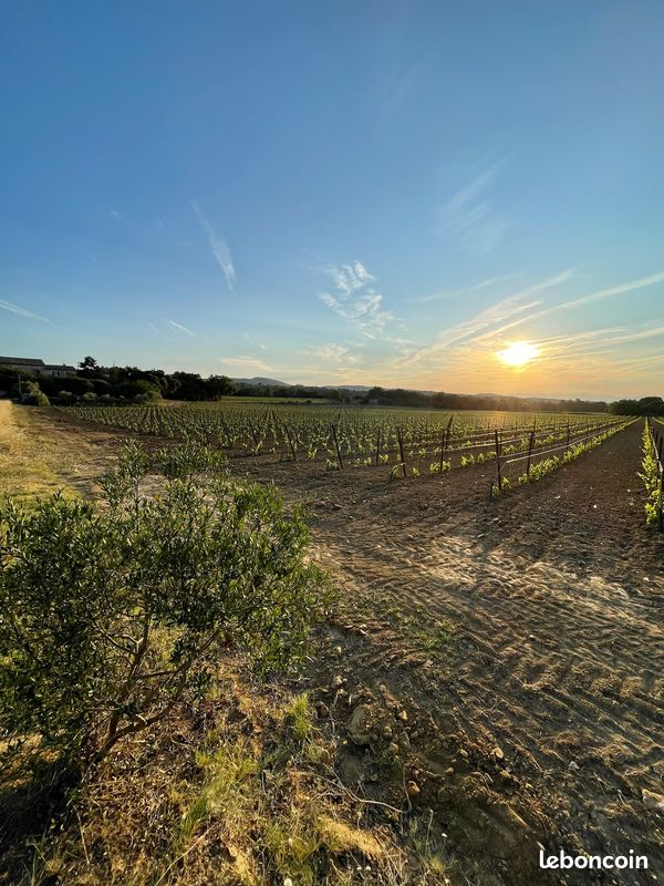 Grand Gite Groupe Vaucluse 84 L'Écrin de Vignes : Camp Fourca, Accueil de Groupe