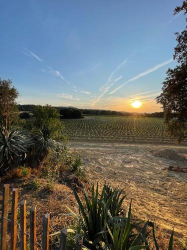 Grand Gite Groupe Vaucluse 84 L'Écrin de Vignes : Camp Fourca, Accueil de Groupe